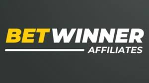 BetWinner APK Your Ultimate Guide to the Betting App